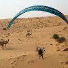 BGD Icon Paramotor Freestyle